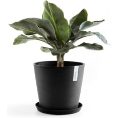 Ecopots Amsterdam ruukku