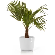 Ecopots Oslo ruukku