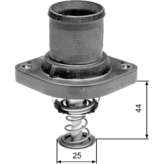TH24989G1 Termostaatti