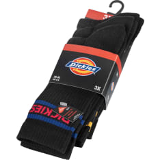 Dickies 3-pack tennissukat