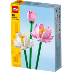 LEGO Iconic Flowers 40647 Lootuskukat