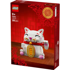 LEGO Seasons and Occasions 40813 Onnenkissa