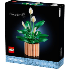 LEGO Botanicals 11504 Viirivehka