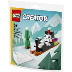 LEGO Recruitment Bags 30718 Cataclawsin lumiseikkailu