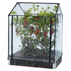 Hortus greenhouse for stage collar