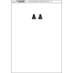 OJD Quick Brake OJD-11662K Jarrulevyn kiinnitysruuvi (1kpl = pussi sis.2kpl)