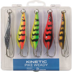 Kinetic Weady 25 g 5 pcs Spoon Lure