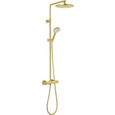 Damixa Silhouet brushed brass rain shower
