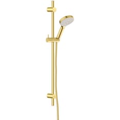 Damixa 76688.79 Silhouet brushed brass shower set