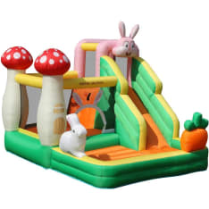 Doctor Dolphin Bouncer Rabbit bouncy castle