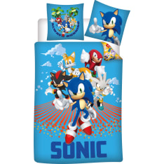 Sonic pussilakanasetti