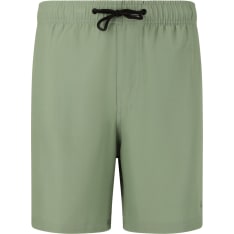 Cruz Baumville Men's Board Shorts