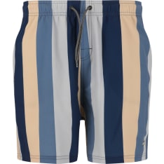 Cruz Pieter Men's Board Shorts
