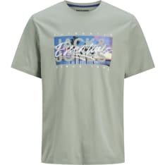 Jack&Jones Jjcolton miesten t-paita
