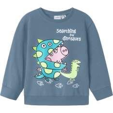 Name It Mini Nmmfind Sweatshirt