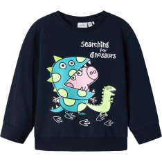 Name It Mini Nmmfind Sweatshirt