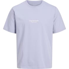Jack&Jones Junior Jorvesterbro nuorten t-paita