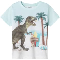 Name It Mini Nmmjako t-shirt