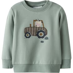 Name It Baby Nbmlimbs sweatshirt