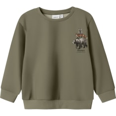 Name It Mini Nmmolin lasten collegepaita