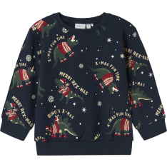 Name It Mini Nmmroka lasten collegepaita