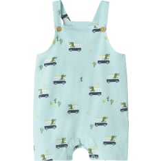Name It Baby Nbmfari Overall