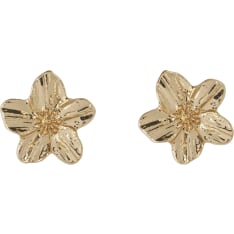 Lmtd Nlfhibi Earrings