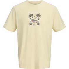 Jack&Jones Junior Jorcassis youth t-shirt