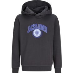 Jack&Jones Kids Jjcollegey Sweat Male Knit Sweatshirt