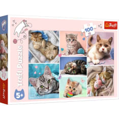 Trefl In the world of cats 100p puzzle