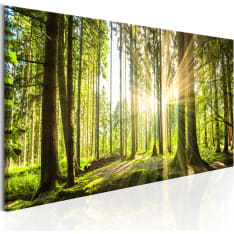 Artgeist Daylight board