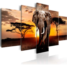 Artgeist Elephant Migration taulusetti