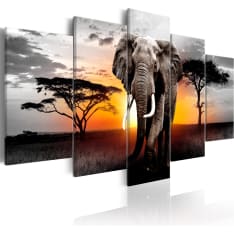 Artgeist Elephant at Sunset taulusetti