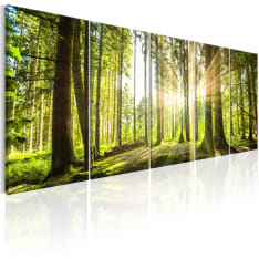 Artgeist Sunlight board set