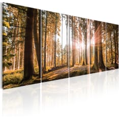 Artgeist Beauty of Nature taulusetti