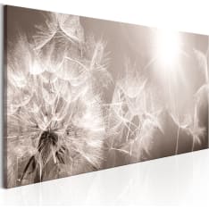 Artgeist Summer Dandelions taulu