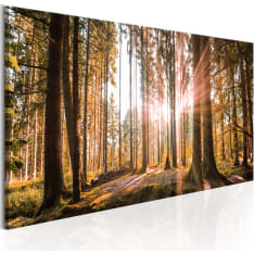 Artgeist Small Natural Wonders taulu