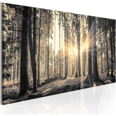 Artgeist Forest Sun taulu