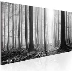 Artgeist Black and White forest taulu