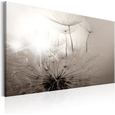 Artgeist Beautiful Summer: Dandelions taulu