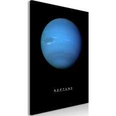 Artgeist Neptune  Vertical taulu