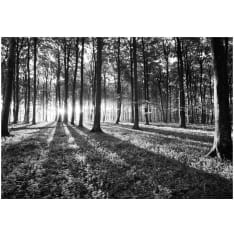 Artgeist Grey Wilderness itseliimautuva fototapetti