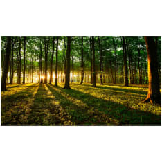 Artgeist Mystical Morning II itseliimautuva fototapetti