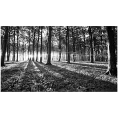 Artgeist Grey Wilderness II itseliimautuva fototapetti
