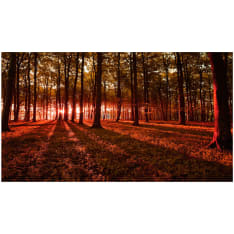 Artgeist Autumn Morning II itseliimautuva fototapetti