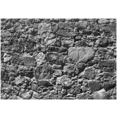 Artgeist Tempus fugit itseliimautuva fototapetti