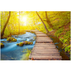 Artgeist Forest itseliimautuva fototapetti