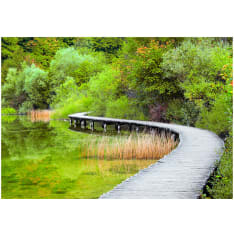 Artgeist Beautiful green itseliimautuva fototapetti