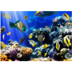 Artgeist Underwater adventure itseliimautuva fototapetti