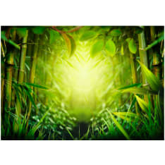 Artgeist Forest fairy itseliimautuva fototapetti